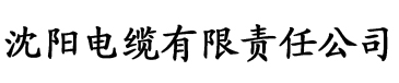 奇乐传媒电缆厂logo